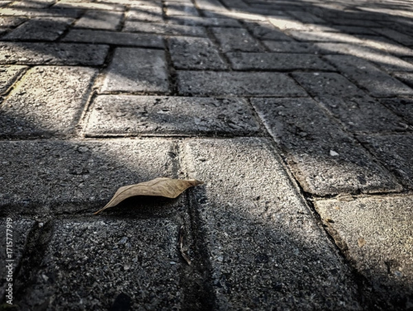 Fototapeta Lonely leaf rests on silent stone path