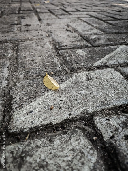 Fototapeta Lonely leaf rests on silent stone path