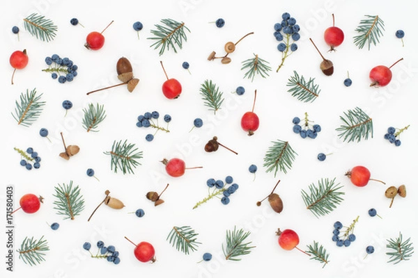 Obraz Colorful seasonal pattern of berries, paradise apples, acorns, spruce branches on white background