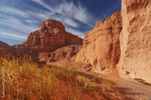 Obraz Explore the Majestic Desert Landscape adorned with Dramatic Rock Formations