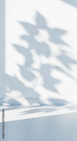 Fototapeta Shadows project abstract shapes on minimalist wall