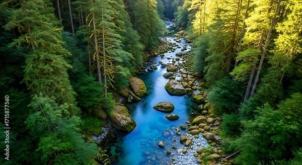 Fototapeta A tranquil, crystal-clear river winds through a dense, lush forest, bathed in sunlight, showcasing vibrant greens and a striking blue hue.