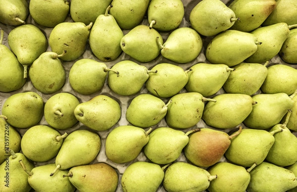 Obraz Pears in a fruit shop