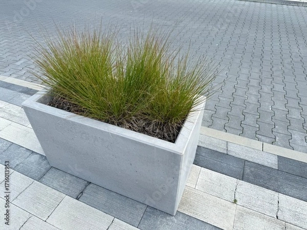 Fototapeta Modern concrete planter with clean lines and minimal design. Contemporary outdoor decoration for gardens, terraces, or patios.