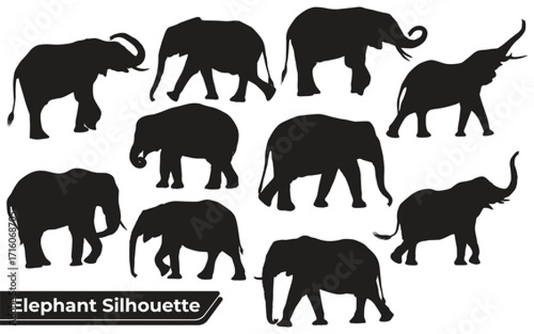Fototapeta elephant silhouettes sheet