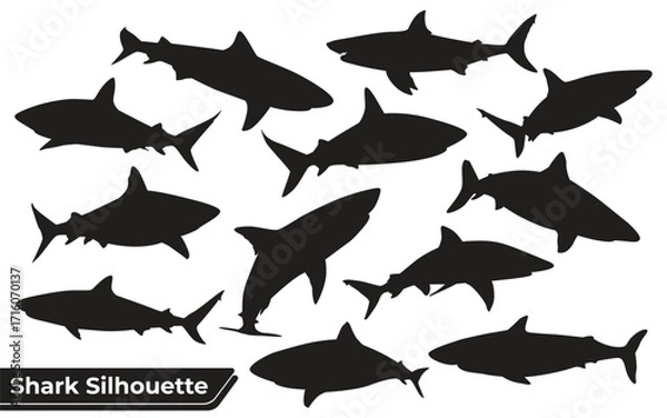 Fototapeta shark silhouettes sheet