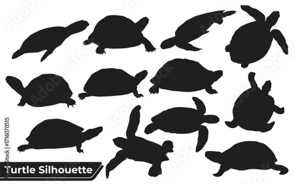 Fototapeta turtle 2 silhouettes sheet