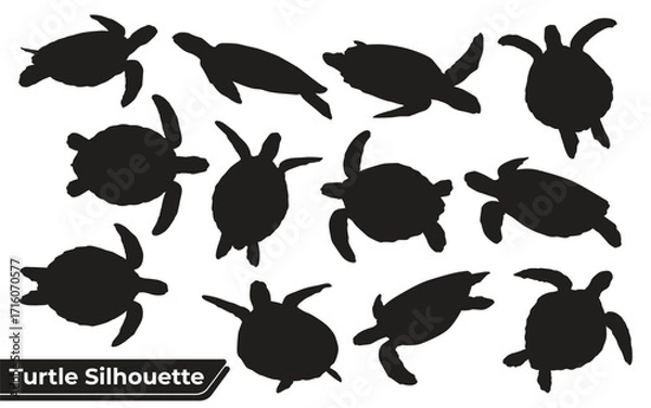 Fototapeta turtle silhouettes sheet
