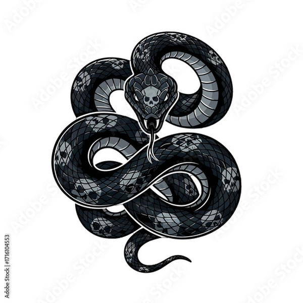 Fototapeta Black snake coiling with skull patterns, showcasing intricate details and a striking design