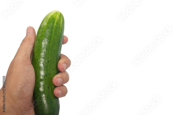 Fototapeta Hand holding whole green cucumber on plain white background