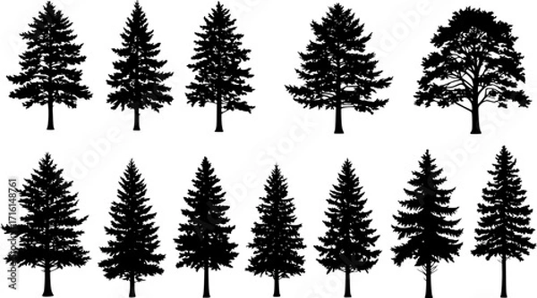 Fototapeta set of trees