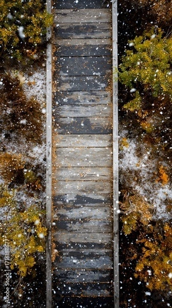 Fototapeta Overhead photo of autumn colors and snow sparkle texture on a weathered boardwalk, no text or logo