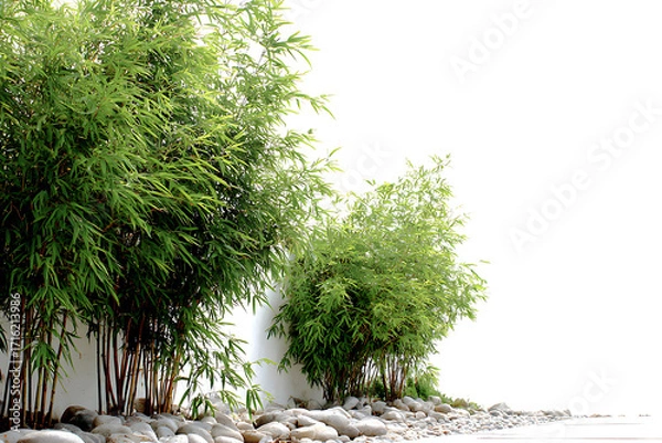 Fototapeta Vibrant bamboo plants with lush green leaves and natural stone accents create a serene, zen-like atmosphere for peaceful spaces