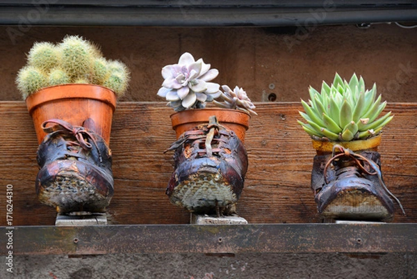 Obraz Creative Planters Made from Old Shoes with Cactus and Succulents