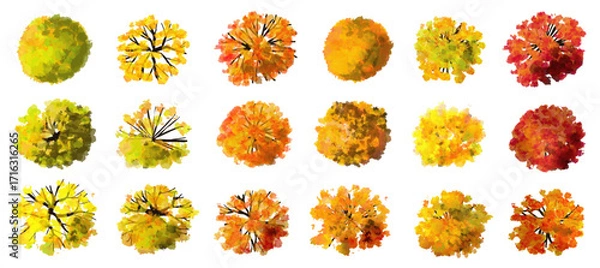 Fototapeta Tree or forest top view for landscape layout,watercolor plant for architecture drawing, environment and garden,botanical elements for plan,blooming tree in autumn