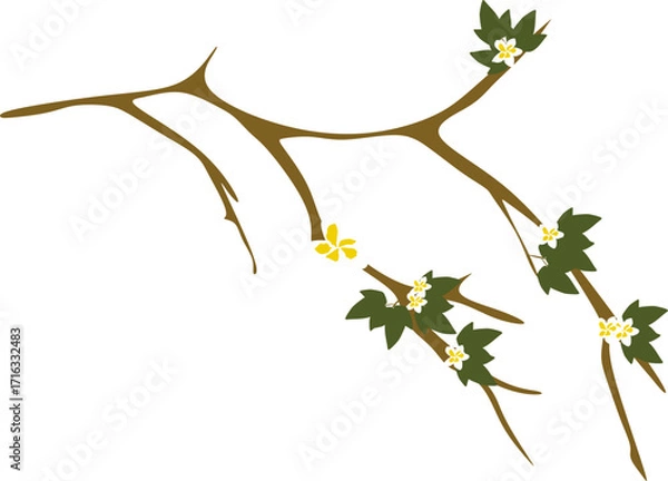 Fototapeta Tree Branch Illustration with Flowers