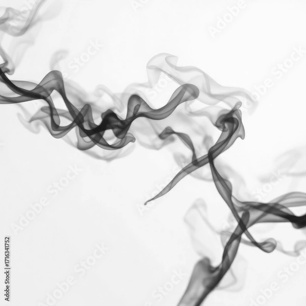 Obraz smoke with transparent background PNG and JPEG image