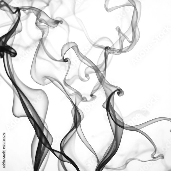 Obraz smoke with transparent background PNG and JPEG image