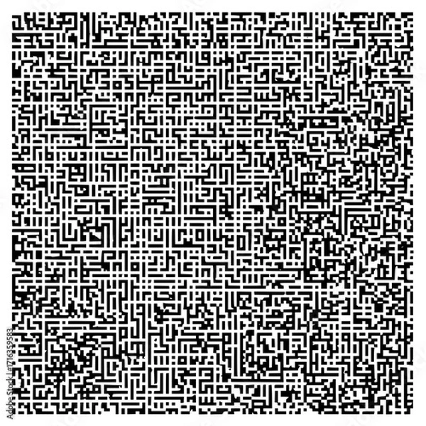 Obraz Intricate black and white maze pattern with complex interconnected pathways and dense geometric design