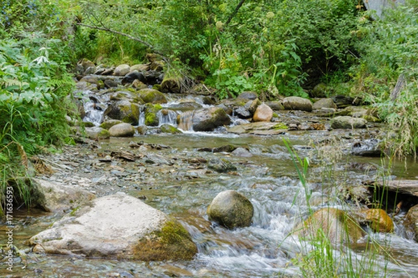 Obraz mountain river