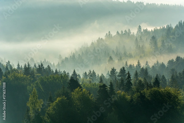 Fototapeta Wschód słońca ,Jaworzyna Krynicka,Beskid Sądecki,małopolska.