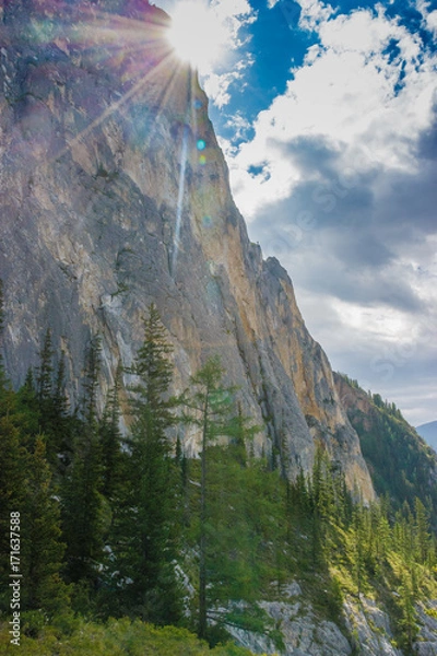 Obraz mountain white boom