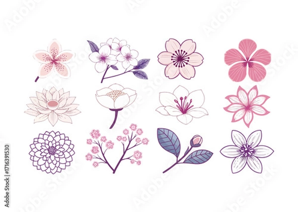 Fototapeta Elegant Floral Collection Featuring Delicate Pink and White Blooms Isolated on White Background Botanical Illustration Vector Art