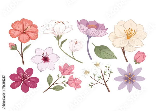 Fototapeta Elegant Floral Vector Illustration with Various Blooming Flowers and Buds in Pastel Colors for Springtime Designs and Botanical Projects