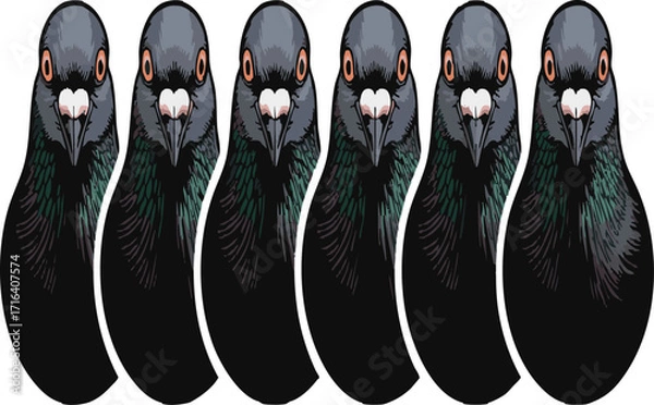 Fototapeta Pigeon kabootar head face set collection pack bundle black shape icon silhouette vector flat illustration design on white background.