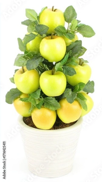 Fototapeta Handcrafted apple topiary in a white textured pot