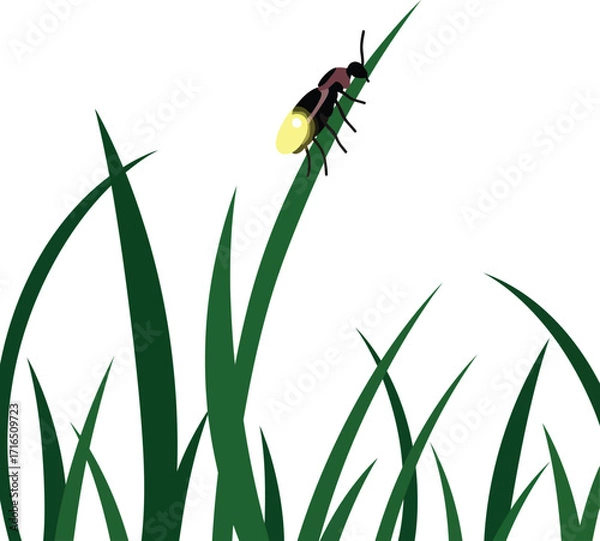 Fototapeta Firefly resting on green grass blades vector silhouette illustration of glowing insect in natural environment