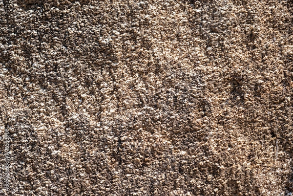 Fototapeta Fragment of a rocky surface. For use as an abstract background and textures.