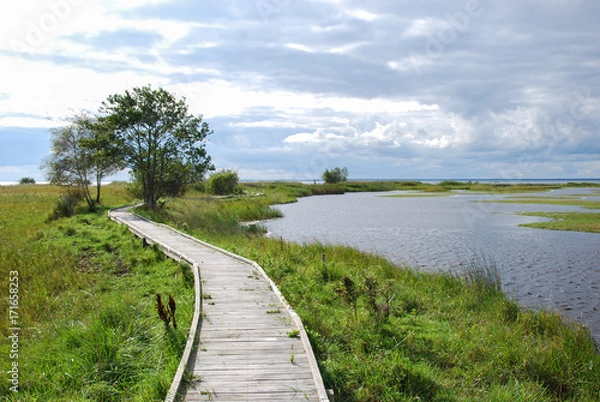 Obraz Wooden footbridge through a wetland