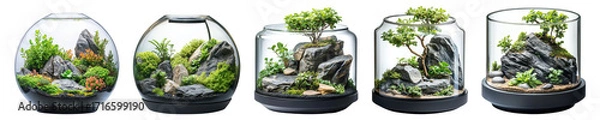 Fototapeta Diverse terrarium collection displaying miniature landscapes within glass containers, integrating rock formations and green plants on transparent background