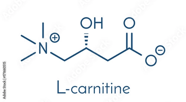 Fototapeta Carnitine food supplement molecule, chemical structure Skeletal formula.