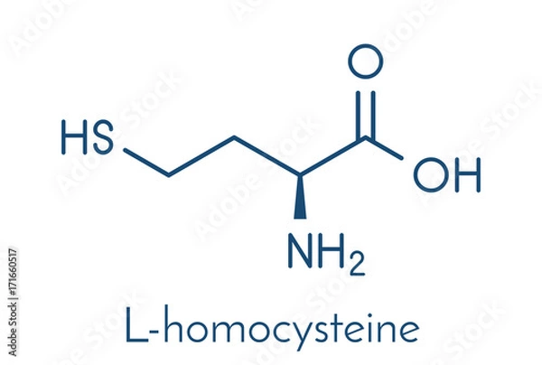 Fototapeta Homocysteine (Hcy) biomarker molecule. Increased levels indicate elevated risk of cardiovascular disease. Skeletal formula.