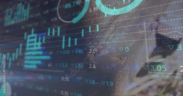 Fototapeta Displaying financial overlay merging with forest bark and grass, candlestick line charts and gauges