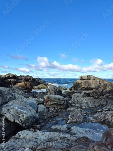 Obraz rocks on the beach