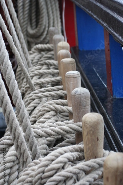 Fototapeta learning the ropes