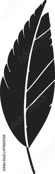 Fototapeta Black and white illustration of a leaf. The leaf is detailed with a center vein and parallel veins branching off.