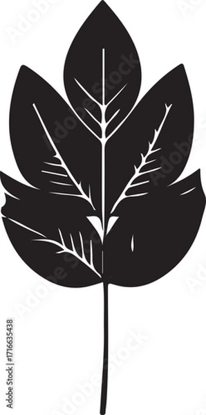Fototapeta Black and white vector graphic depicting a plant leaf. The leaf has a pointed stem and toothed edges.