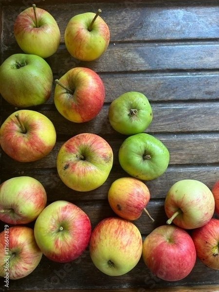 Fototapeta Close up of ripe red and green apples on a  clear wooden table surface background the fruit freshly harvest organic allotment orchard garden in Summer interior flat lay top view with copy space