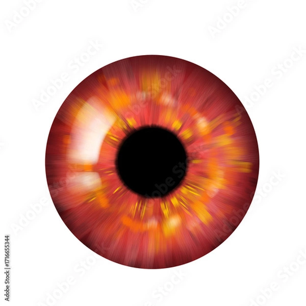 Fototapeta Human Eye Red Iris, realistic illustration, close up eye shot, isolated, transparent background 