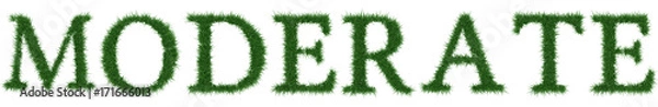 Fototapeta Moderate - 3D rendering fresh Grass letters isolated on whhite background.