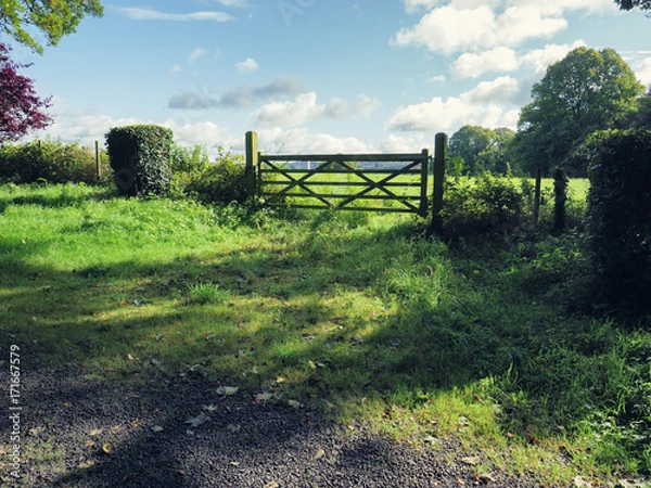 Fototapeta  summer countryside morning,Northern Ireland
