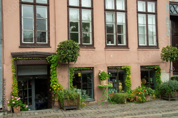 Obraz Entrance of a small shop in Copenhagen with climbing plants around the door