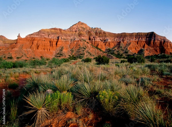 Obraz Palo Duro Canyon