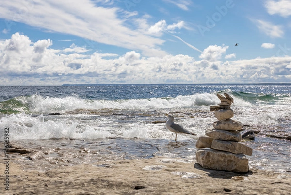 Obraz A tranquil view of the rugged shores of Flowerpot Island with waves crashing and a solitary seagull.