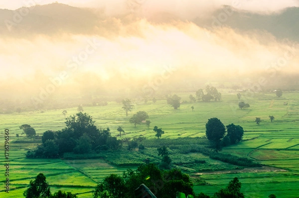 Fototapeta Beautiful view of morning light hitting fog, mountains, trees and green rice fields in the countryside in Chiang Rai. Northern Thailand.