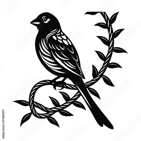 Fototapeta Sparrow perched on a twisted vine with head turned